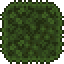 泰拉瑞亚百科神圣草墙物品评价配图