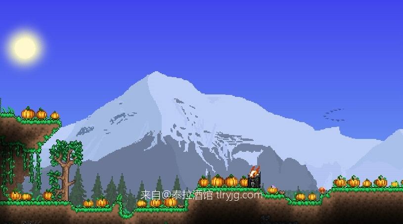 堕苍的泰拉宇宙【T-M.O.D】泰拉档案β：职业、异常世界与智慧种族配图