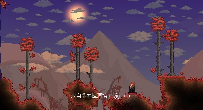 堕苍的泰拉宇宙【T-M.O.D】泰拉档案β：职业、异常世界与智慧种族配图