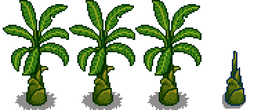 星露谷物语百科树配图