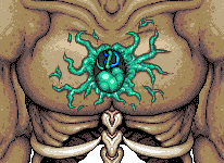 泰拉瑞亚灾厄模组百科原版内容改变NPC配图