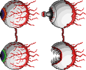 泰拉瑞亚法狗模组百科机械融合体Boss列表配图
