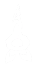 饥荒联机版百科亮茄虚影生物属性配图