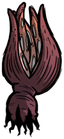 饥荒联机版百科海星生物属性配图