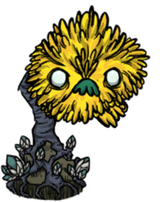 饥荒联机版百科海草生物属性配图