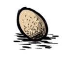 饥荒联机版百科鸟蛋食物属性配图