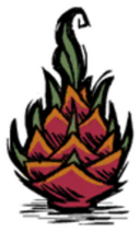 饥荒联机版百科火龙果食物属性配图