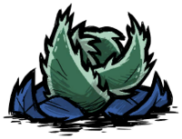 饥荒联机版百科亮茄外壳物品属性配图