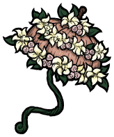 饥荒联机版百科花伞物品皮肤配图