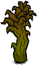 饥荒联机版百科巨型芦笋物品属性配图