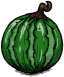 饥荒联机版百科巨型西瓜物品属性配图