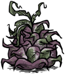 饥荒联机版百科巨型火龙果物品属性配图