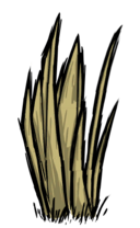 饥荒联机版百科草物品属性配图 饥荒联机版百科草物品属性配图