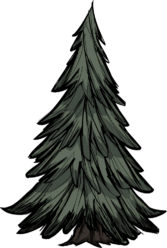 饥荒联机版百科常青树物品属性配图 饥荒联机版百科常青树物品属性配图