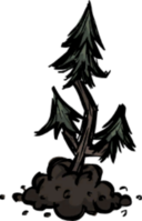 饥荒联机版百科常青树苗物品属性配图