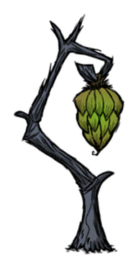 饥荒联机版百科洞穴香蕉树物品属性配图