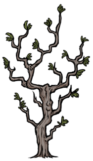 饥荒联机版百科多枝树物品属性配图