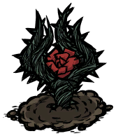 饥荒联机版百科犬牙陷阱物品皮肤配图