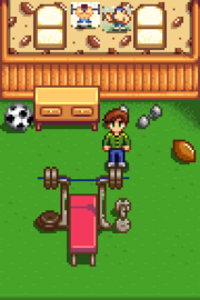 星露谷物语百科农舍伴侣房间配图