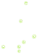 饥荒联机版百科萤火虫物品属性配图