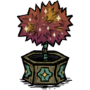 饥荒联机版百科鸦年华树苗物品属性配图