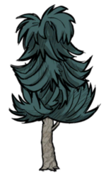 饥荒联机版百科茶树植物属性配图