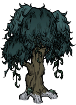 饥荒联机版百科疙瘩树植物属性配图