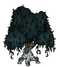 饥荒联机版百科疙瘩树植物属性配图