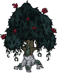 饥荒联机版百科疙瘩树植物属性配图