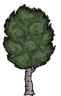 饥荒联机版百科桦栗树植物属性配图