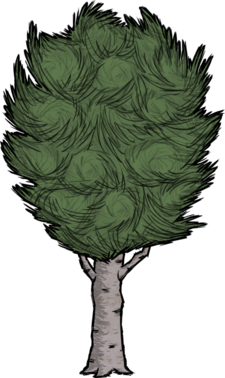 饥荒联机版百科桦栗树植物属性配图