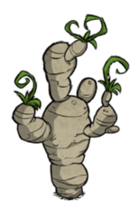 饥荒联机版百科块茎树植物属性配图