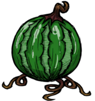 饥荒联机版百科西瓜植株植物属性配图