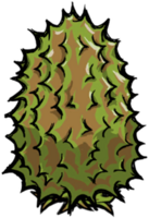 饥荒联机版百科榴莲藤植物属性配图