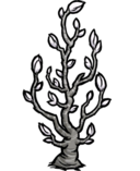 饥荒联机版百科月亮树苗植物属性配图