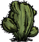 饥荒联机版百科仙人掌植物属性配图