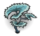 饥荒联机版百科荨麻藤植物属性配图