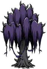 饥荒联机版百科阴郁之棘植物属性配图