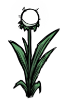 饥荒联机版百科荧光花植物属性配图