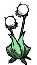 饥荒联机版百科荧光花植物属性配图