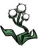 饥荒联机版百科荧光花植物属性配图