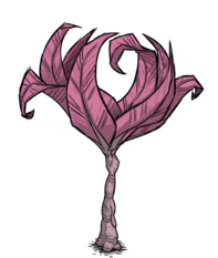 饥荒联机版百科雨林树植物属性配图