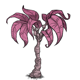 饥荒联机版百科雨林树植物属性配图