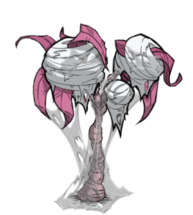 饥荒联机版百科布满蛛网的树植物属性配图