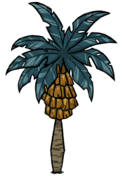 饥荒联机版百科棕榈松果树植物属性配图