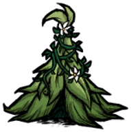 饥荒联机版百科帐篷建筑皮肤配图