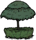 饥荒联机版百科花伞小树建筑属性配图