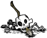 饥荒联机版百科骷髅物品属性配图