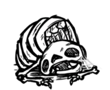 饥荒联机版百科猪鱼骷髅物品属性配图