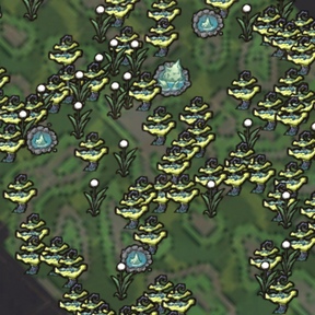 饥荒联机版百科月亮洞窟群系群系属性配图 饥荒联机版百科月亮洞窟群系群系属性配图